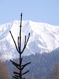 Seefeld - Austria